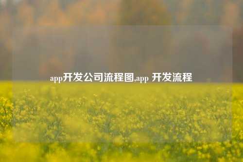 app开发公司流程图,app 开发流程-第1张图片-连云港禾元网络科技有限公司