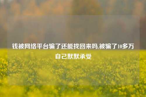 钱被网络平台骗了还能找回来吗,被骗了10多万自己默默承受-第1张图片-连云港禾元网络科技有限公司