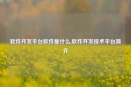 软件开发平台软件是什么,软件开发技术平台简介-第1张图片-连云港禾元网络科技有限公司