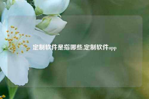 定制软件是指哪些,定制软件app-第1张图片-连云港禾元网络科技有限公司