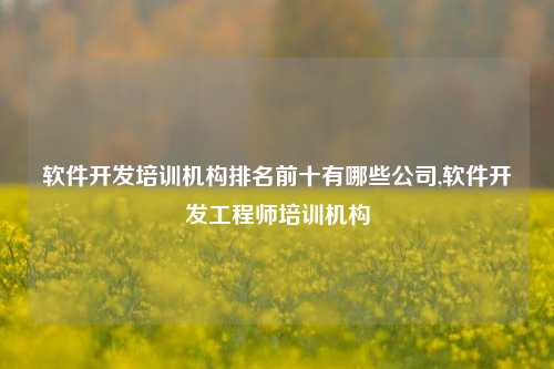 软件开发培训机构排名前十有哪些公司,软件开发工程师培训机构-第1张图片-连云港禾元网络科技有限公司