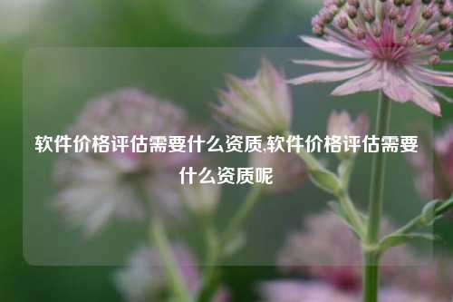 软件价格评估需要什么资质,软件价格评估需要什么资质呢-第1张图片-连云港禾元网络科技有限公司