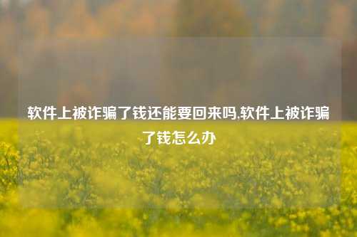 软件上被诈骗了钱还能要回来吗,软件上被诈骗了钱怎么办-第1张图片-连云港禾元网络科技有限公司