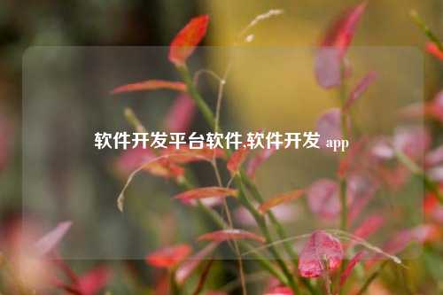 软件开发平台软件,软件开发 app-第1张图片-连云港禾元网络科技有限公司