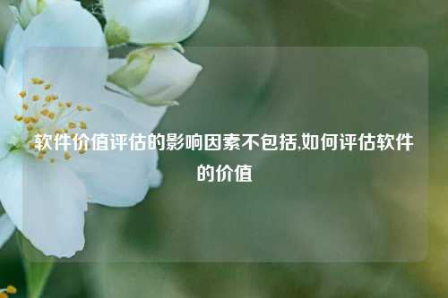 软件价值评估的影响因素不包括,如何评估软件的价值-第1张图片-连云港禾元网络科技有限公司