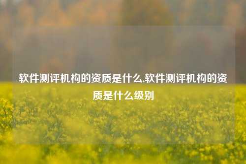 软件测评机构的资质是什么,软件测评机构的资质是什么级别-第1张图片-连云港禾元网络科技有限公司