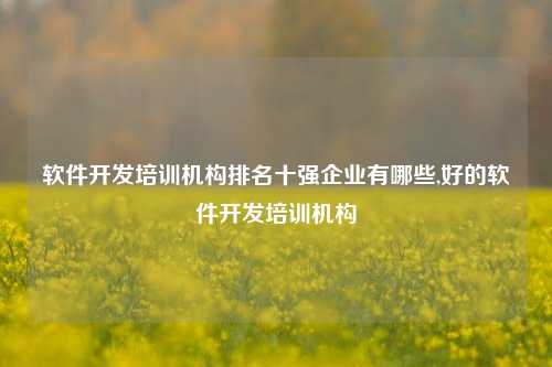 软件开发培训机构排名十强企业有哪些,好的软件开发培训机构-第1张图片-连云港禾元网络科技有限公司