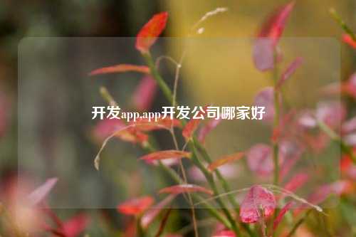 开发app,app开发公司哪家好-第1张图片-连云港禾元网络科技有限公司