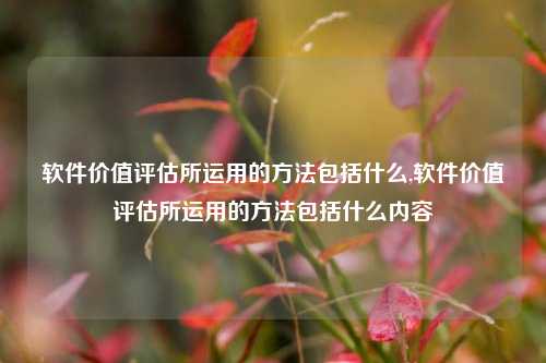 软件价值评估所运用的方法包括什么,软件价值评估所运用的方法包括什么内容-第1张图片-连云港禾元网络科技有限公司