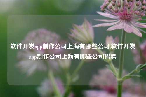 软件开发app制作公司上海有哪些公司,软件开发app制作公司上海有哪些公司招聘-第1张图片-连云港禾元网络科技有限公司