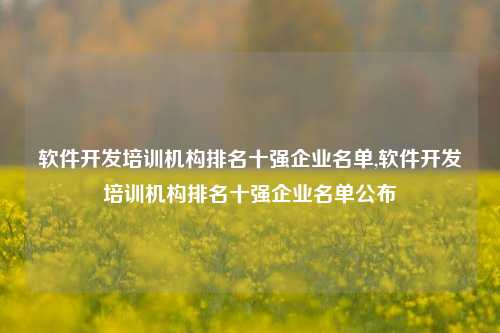 软件开发培训机构排名十强企业名单,软件开发培训机构排名十强企业名单公布-第1张图片-连云港禾元网络科技有限公司