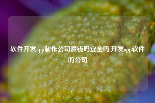 软件开发app制作公司赚钱吗安全吗,开发app软件的公司-第1张图片-连云港禾元网络科技有限公司