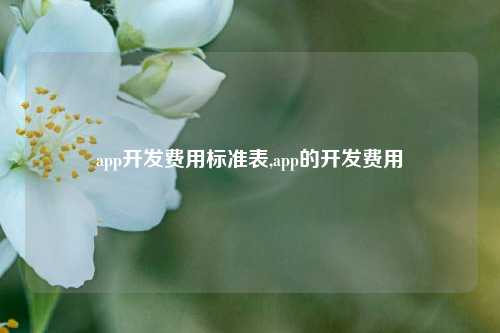 app开发费用标准表,app的开发费用-第1张图片-连云港禾元网络科技有限公司