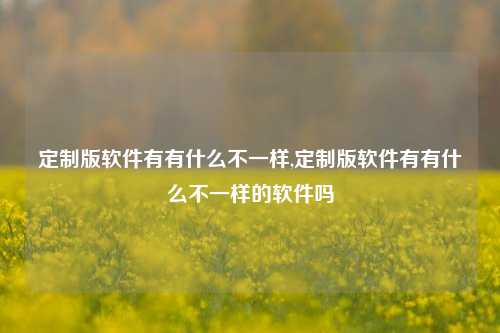 定制版软件有有什么不一样,定制版软件有有什么不一样的软件吗-第1张图片-连云港禾元网络科技有限公司