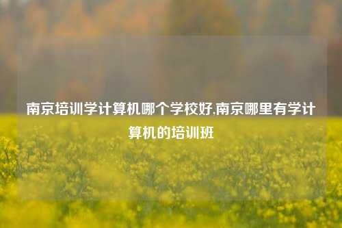 南京培训学计算机哪个学校好,南京哪里有学计算机的培训班-第1张图片-连云港禾元网络科技有限公司