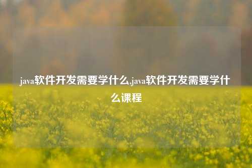 java软件开发需要学什么,java软件开发需要学什么课程-第1张图片-连云港禾元网络科技有限公司