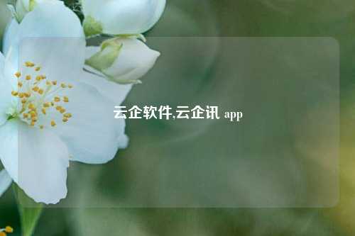 云企软件,云企讯 app-第1张图片-连云港禾元网络科技有限公司