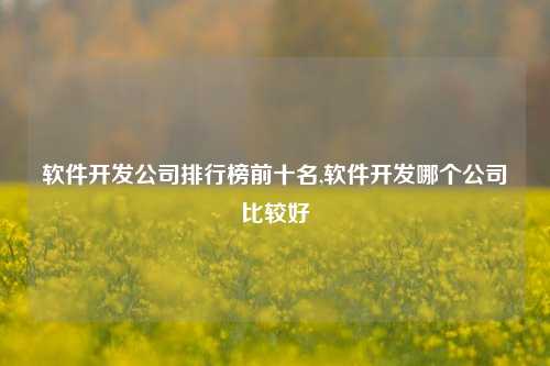 软件开发公司排行榜前十名,软件开发哪个公司比较好-第1张图片-连云港禾元网络科技有限公司