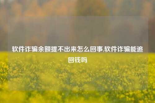 软件诈骗余额提不出来怎么回事,软件诈骗能追回钱吗-第1张图片-连云港禾元网络科技有限公司