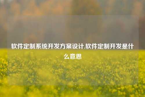 软件定制系统开发方案设计,软件定制开发是什么意思-第1张图片-连云港禾元网络科技有限公司