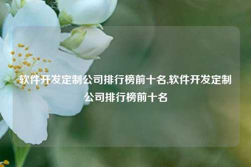 软件开发定制公司排行榜前十名,软件开发定制公司排行榜前十名-第1张图片-连云港禾元网络科技有限公司