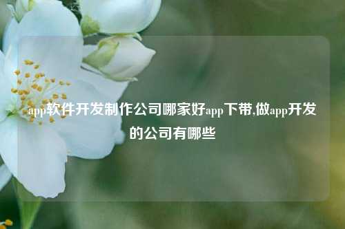 app软件开发制作公司哪家好app下带,做app开发的公司有哪些-第1张图片-连云港禾元网络科技有限公司