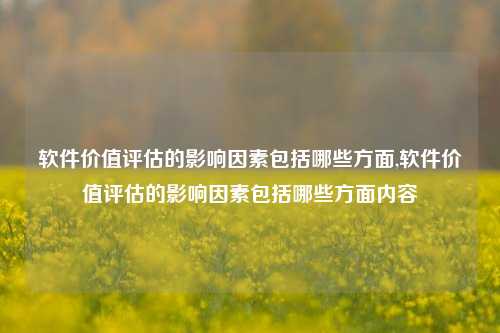 软件价值评估的影响因素包括哪些方面,软件价值评估的影响因素包括哪些方面内容-第1张图片-连云港禾元网络科技有限公司