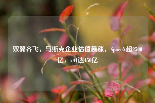 双翼齐飞，马斯克企业估值暴涨，SpaceX超2500亿，xAI达450亿-第1张图片-连云港禾元网络科技有限公司