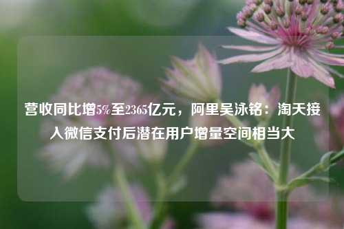 营收同比增5%至2365亿元，阿里吴泳铭：淘天接入微信支付后潜在用户增量空间相当大-第1张图片-连云港禾元网络科技有限公司