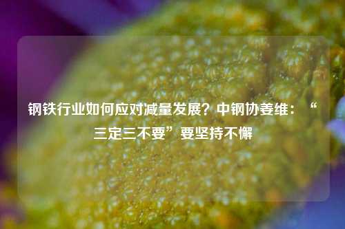 钢铁行业如何应对减量发展？中钢协姜维：“三定三不要”要坚持不懈-第1张图片-连云港禾元网络科技有限公司