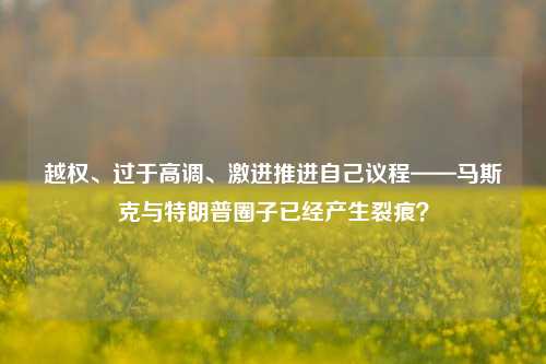 越权、过于高调、激进推进自己议程——马斯克与特朗普圈子已经产生裂痕？-第1张图片-连云港禾元网络科技有限公司