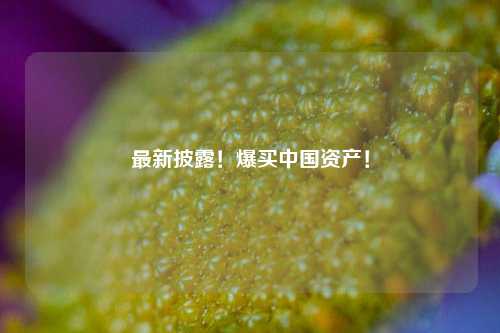 最新披露！爆买中国资产！-第1张图片-连云港禾元网络科技有限公司