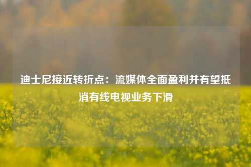 迪士尼接近转折点：流媒体全面盈利并有望抵消有线电视业务下滑-第1张图片-连云港禾元网络科技有限公司