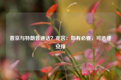 普京与特朗普通话？克宫：如有必要，可迅速安排-第1张图片-连云港禾元网络科技有限公司