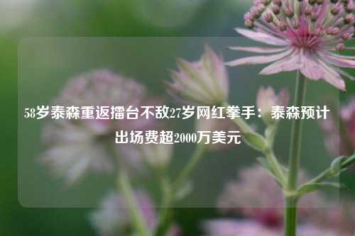 58岁泰森重返擂台不敌27岁网红拳手：泰森预计出场费超2000万美元-第1张图片-连云港禾元网络科技有限公司