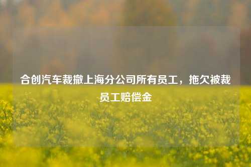 合创汽车裁撤上海分公司所有员工，拖欠被裁员工赔偿金-第1张图片-连云港禾元网络科技有限公司