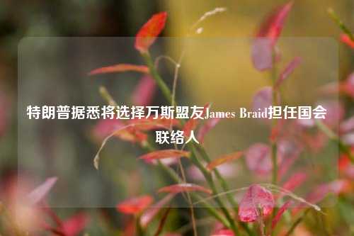 特朗普据悉将选择万斯盟友James Braid担任国会联络人-第1张图片-连云港禾元网络科技有限公司