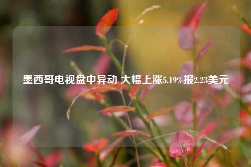 墨西哥电视盘中异动 大幅上涨5.19%报2.23美元-第1张图片-连云港禾元网络科技有限公司