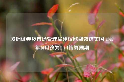 欧洲证券及市场管理局建议欧盟效仿美国 2027年10月改为T+1结算周期-第1张图片-连云港禾元网络科技有限公司