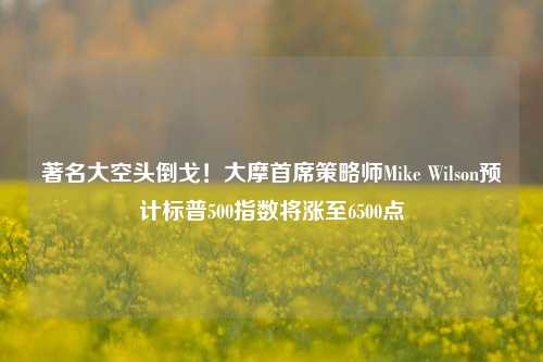 著名大空头倒戈！大摩首席策略师Mike Wilson预计标普500指数将涨至6500点-第1张图片-连云港禾元网络科技有限公司