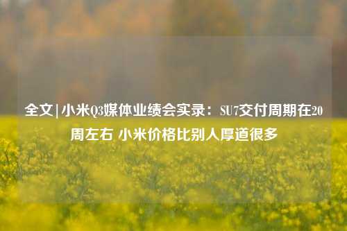 全文|小米Q3媒体业绩会实录：SU7交付周期在20周左右 小米价格比别人厚道很多-第1张图片-连云港禾元网络科技有限公司