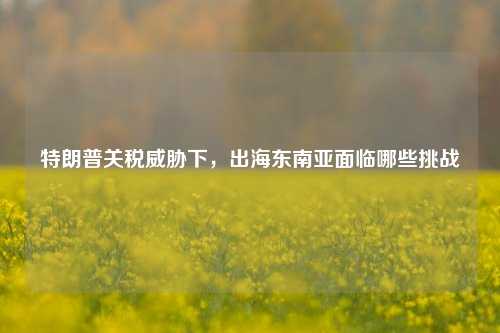 特朗普关税威胁下，出海东南亚面临哪些挑战