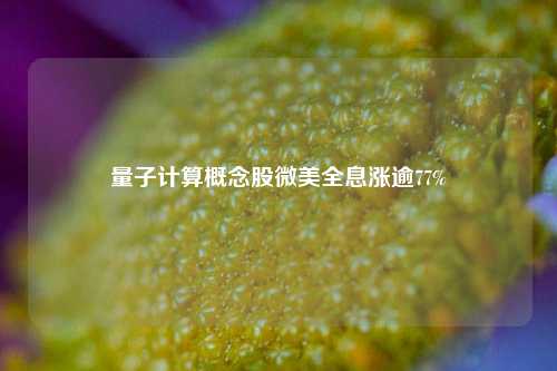 量子计算概念股微美全息涨逾77%