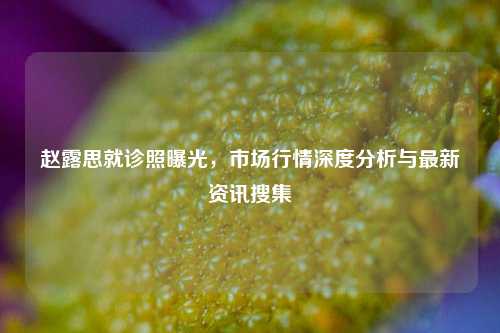 赵露思就诊照曝光，市场行情深度分析与最新资讯搜集