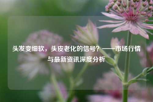 头发变细软，头皮老化的信号？——市场行情与最新资讯深度分析