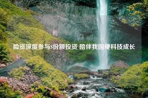 险资深度参与S份额投资 陪伴我国硬科技成长