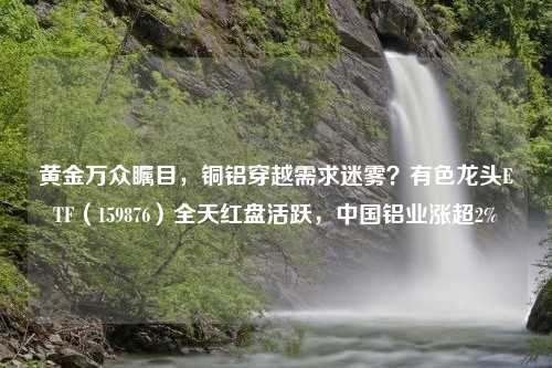 黄金万众瞩目，铜铝穿越需求迷雾？有色龙头ETF（159876）全天红盘活跃，中国铝业涨超2%