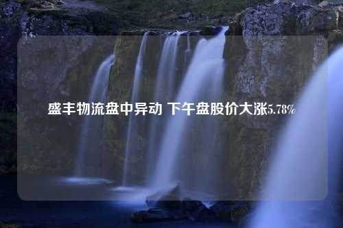 盛丰物流盘中异动 下午盘股价大涨5.78%