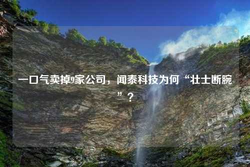 一口气卖掉9家公司，闻泰科技为何“壮士断腕”？