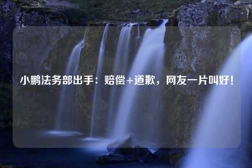 小鹏法务部出手：赔偿+道歉，网友一片叫好！